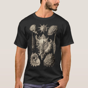 Camiseta Ernst Haeckel Prosobranchia