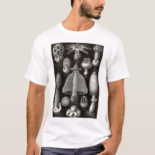 Camiseta Ernst Haeckel - setas de Basimycetes