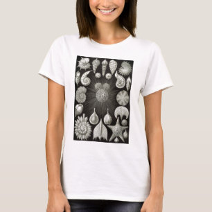 Camiseta Ernst Haeckel Thalamphora