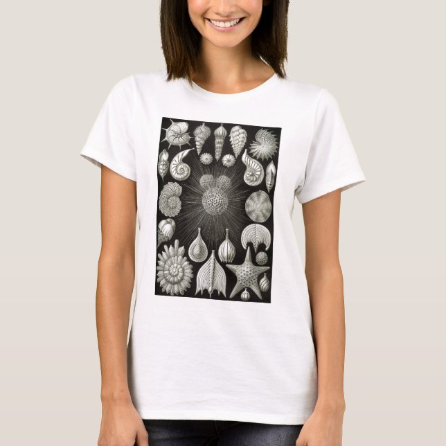 Camiseta Ernst Haeckel Thalamphora (Anverso)