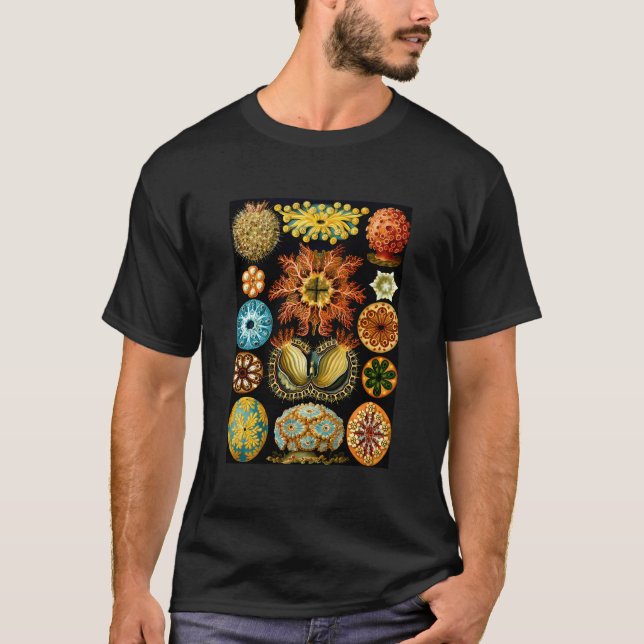 Camiseta Ernst Haeckel Vintage Ilustracion Biológico Asci (Anverso)