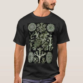 Camiseta Ernst Haeckel Vintage Ilustracion Biológico Lich