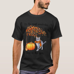 Camiseta Es El Momento Más Maravilloso Para El Gato Enamora