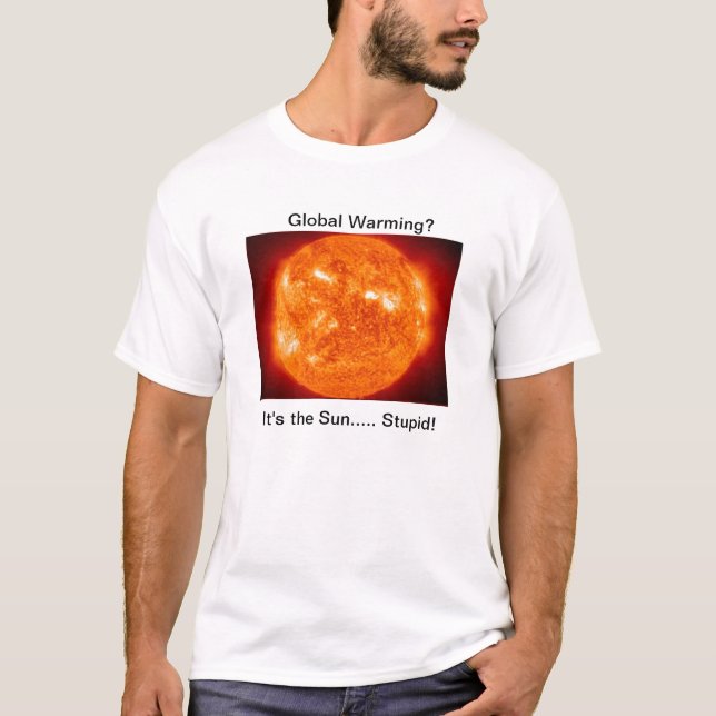 Camiseta ¡Es el Sun estúpido! (Anverso)