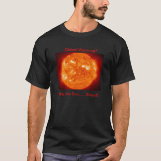 Camiseta ¡Es el Sun estúpido!