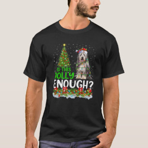 Camiseta ¿Es esta alegría suficiente para que Santa Bearne 