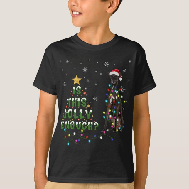 Camiseta ¿Es esta alegría suficiente para que Santa Greyhou (Anverso)