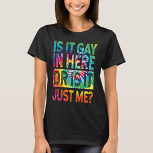 Camiseta ¿Es gay aquí dentro soy gay gay lesbiana toleranci
