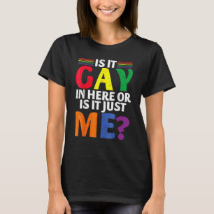 Camiseta Es Gay Aquí O Solo Me Divirto De Gay Lgbt Pr