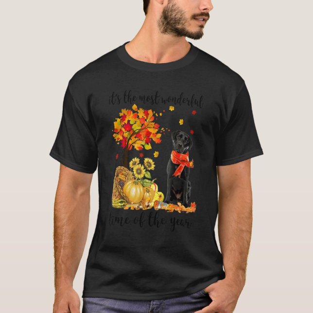 Camiseta Es la mejor excursión otoñal de Labrador (Anverso)