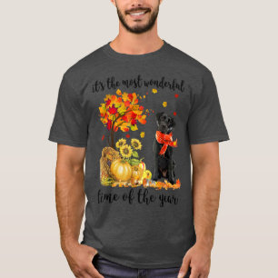 Camiseta Es la mejor excursión otoñal de Labrador