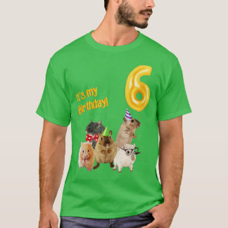 Camiseta Es mi cumpleaños 6º lindo Hamster