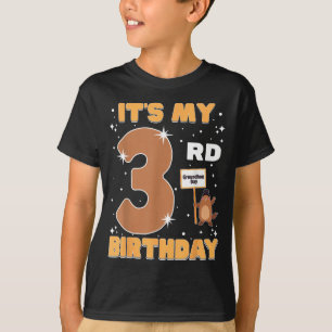Camiseta Es mi cumpleaños número 3 Día de la marmota niña d