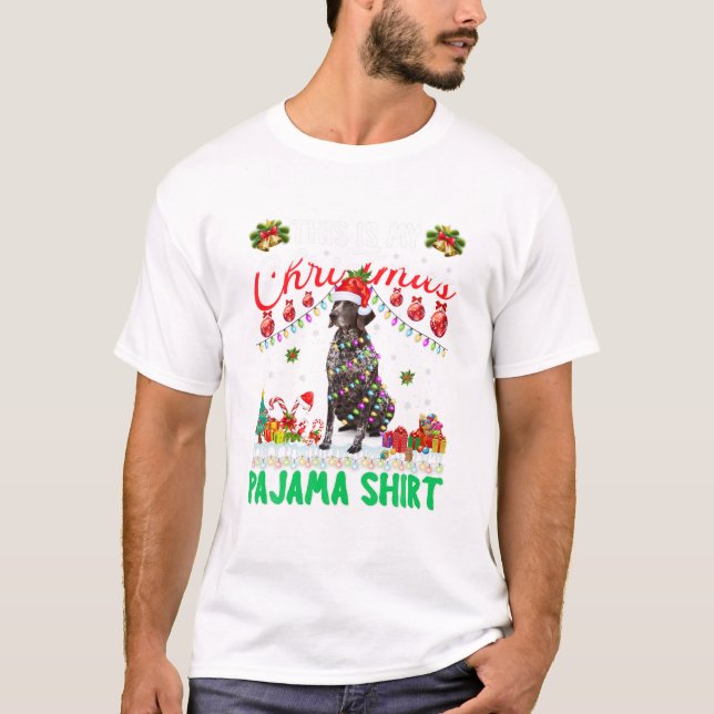 Camiseta ¿Es mi Pointer Alemán de Pelo Corto (Anverso)