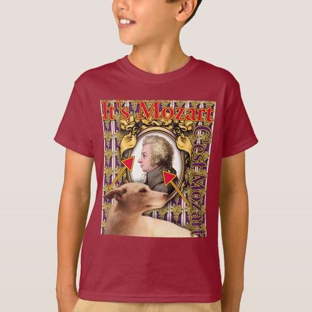 Camiseta Es Mozart (Anverso)