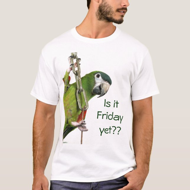 Camiseta ¿Es viernes todavía?? (Anverso)