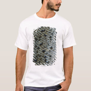 Camiseta Escalas de pescados 2