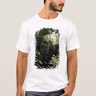 Camiseta Escalera/sendero rústicos en el bosque, luz del