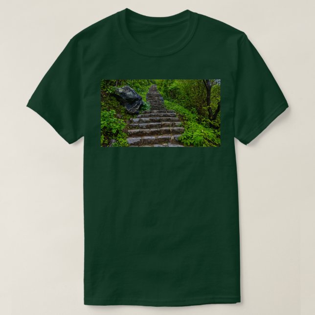 Camiseta Escaleras en la jungla (Diseño del anverso)