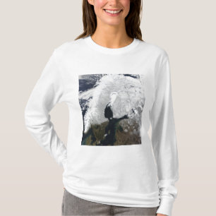 Camiseta Escandinavia