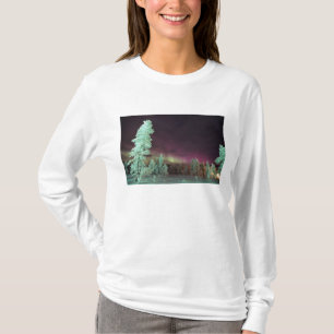 Camiseta Escandinavia, Finlandia, Laponia, Kakslauttanen,