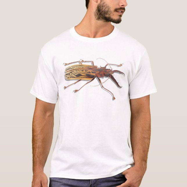 Camiseta Escarabajo de madera (Anverso)