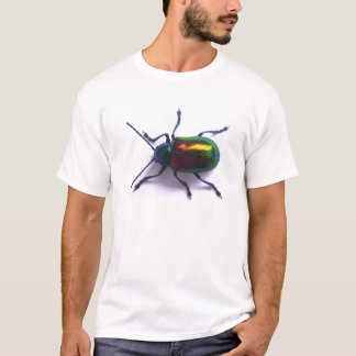 Camiseta Escarabajo del Apocynum androsaemifolium
