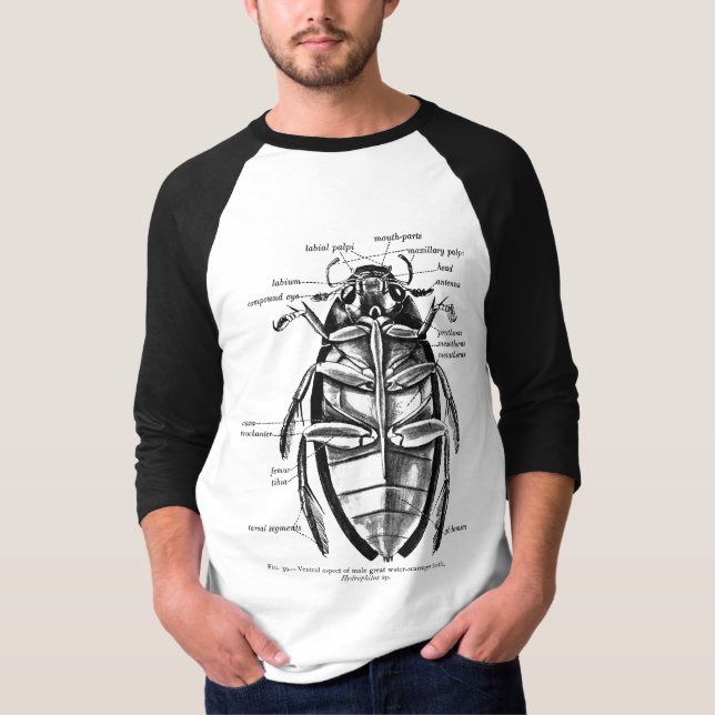 Camiseta Escarabajo del limpiador de Hydrophilidae de la (Anverso)