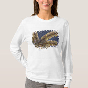 Camiseta Escarcha en árbol de hoja perenne, Homer, Alaska
