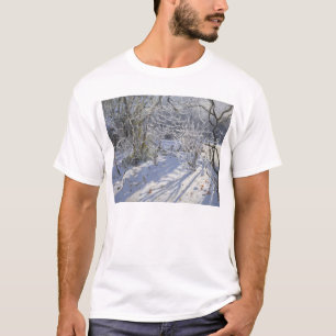 Camiseta Escarcha Markeaton Derby.UK.2012