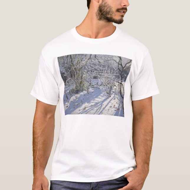 Camiseta Escarcha Markeaton Derby.UK.2012 (Anverso)