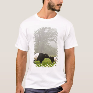 Camiseta Escena brumosa de la vaca ceñida de Galloway que