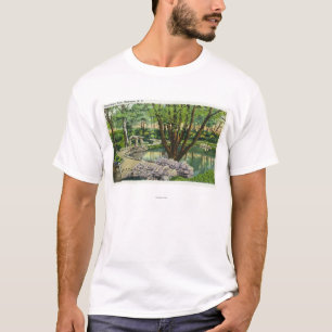 Camiseta Escena del parque del Onondaga