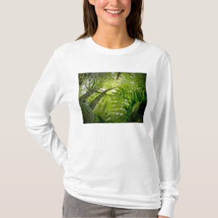 Camiseta Escena forestal en el Parque Nacional Acadia, Main
