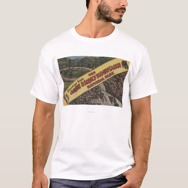 Camiseta Escenas grandes de la letra - Mts ahumado. Parque (Anverso)