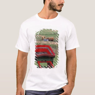 Camiseta Escocia, Isla de Skye, Kilmuir. Animales de granja
