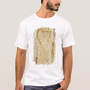 Camiseta Escritura cuneiforme en una pared del palacio