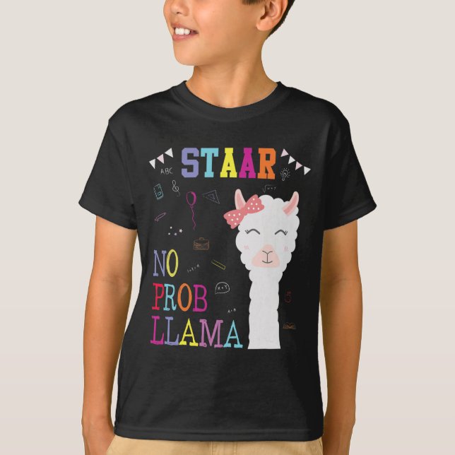 Camiseta Escuadrón del día de prueba sin profesor Prob-llam (Anverso)