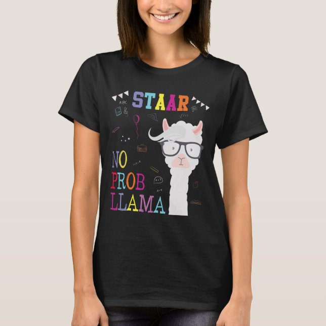 Camiseta Escuadrón del día de prueba sin profesor Prob-llam (Anverso)