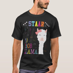 Camiseta Escuadrón del día de prueba sin profesor Prob-llam