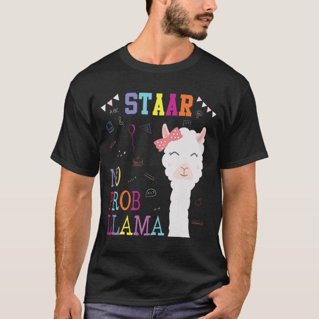 Camiseta Escuadrón del día de prueba sin profesor Prob-llam (Anverso)
