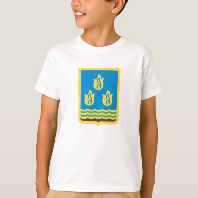 Camiseta Escudo de armas de Bakú (Anverso)
