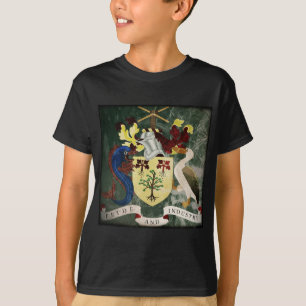 Camiseta Escudo de Armas de Barbados Estilizado