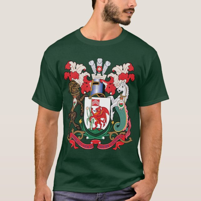Camiseta Escudo de armas de Cardiff (Anverso)