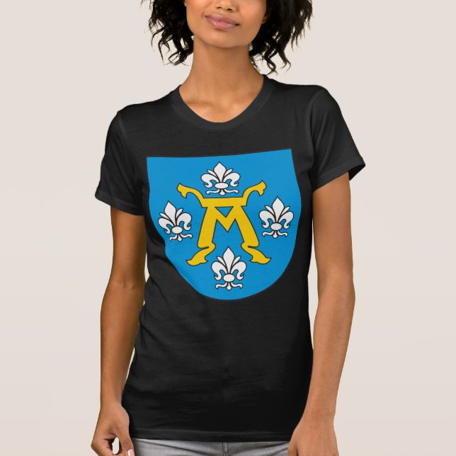 Camiseta Escudo de armas de Turku (Anverso)