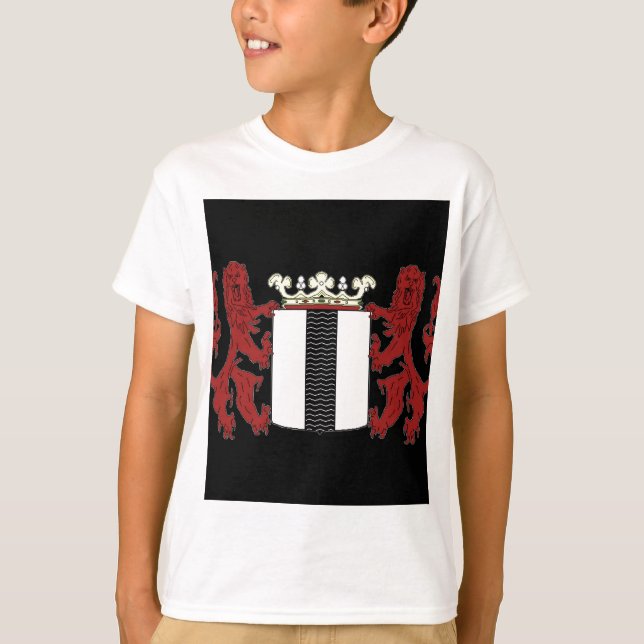 Camiseta Escudo de Delft (Anverso)