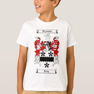 CAMISETA ESCUDO DE LA FAMILIA DE FOLEY - ESCUDO DE ARMAS DE