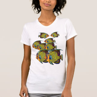 Camiseta Escuela de Daorges del Angelfish