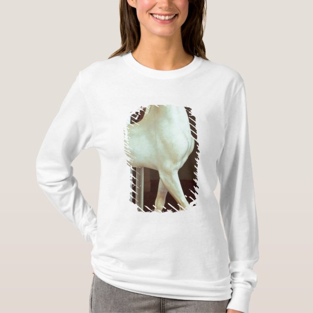 Camiseta Escultura de un caballo, c.500 A.C. (Anverso)