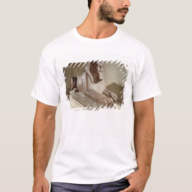 Camiseta Esfinge grande, de Tanis (granito) (Anverso)